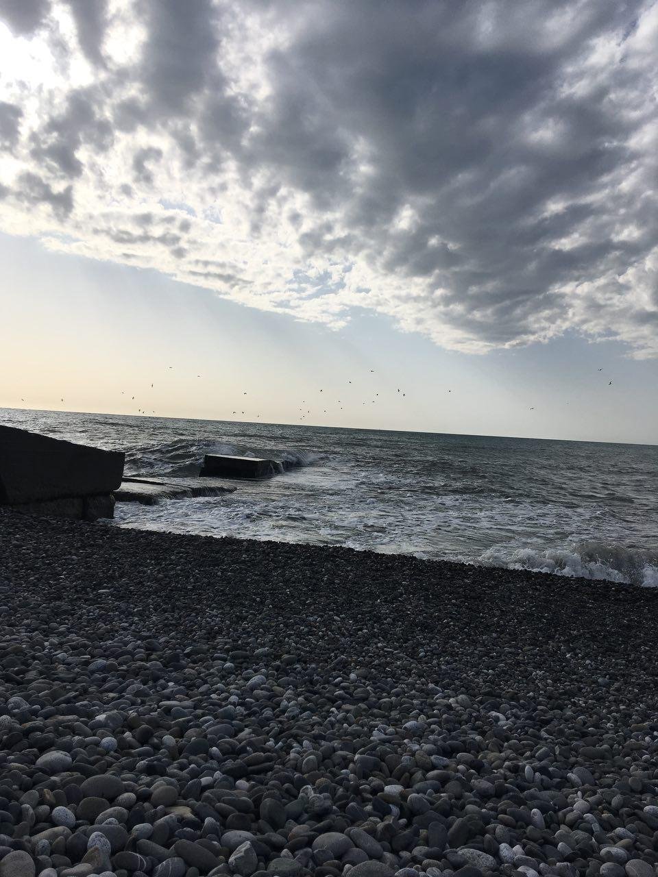 Шексна черное море