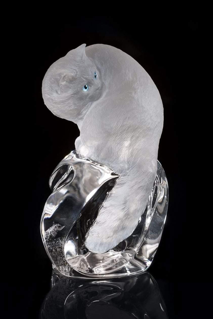 Кот горный хрусталь