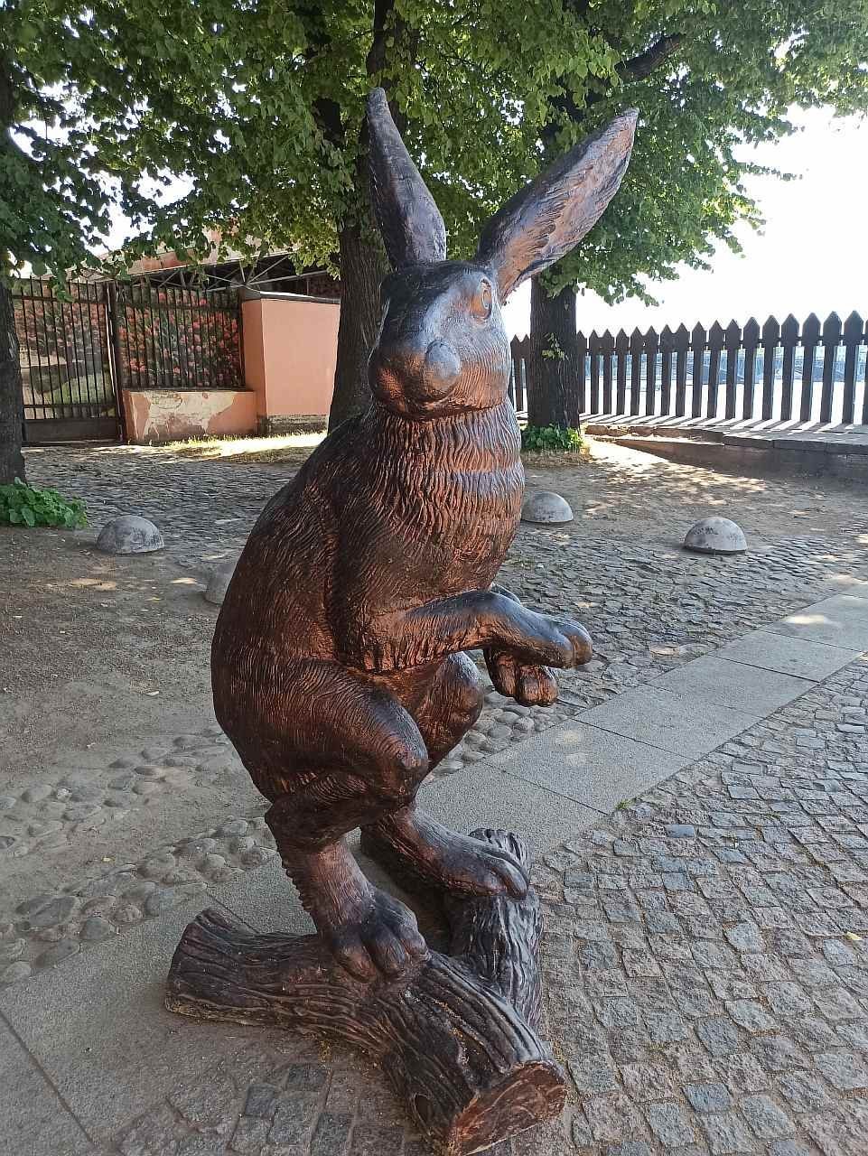 Зайцы в Петропавловской крепости
