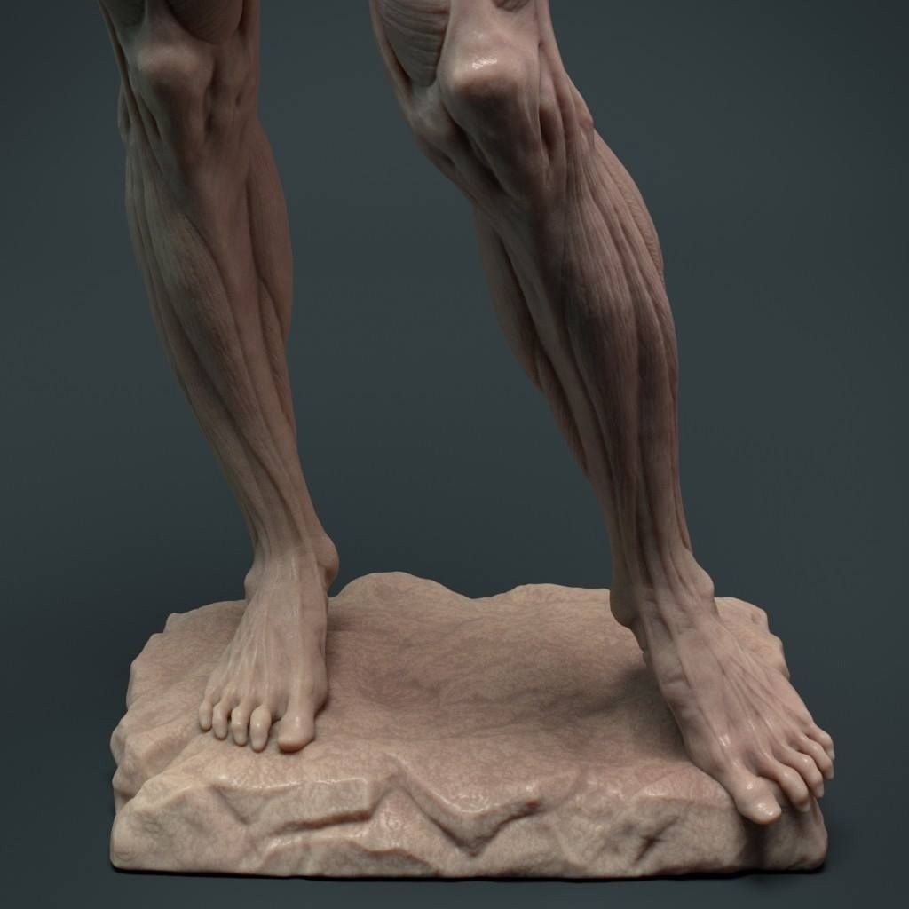 Экорше Микеланджело