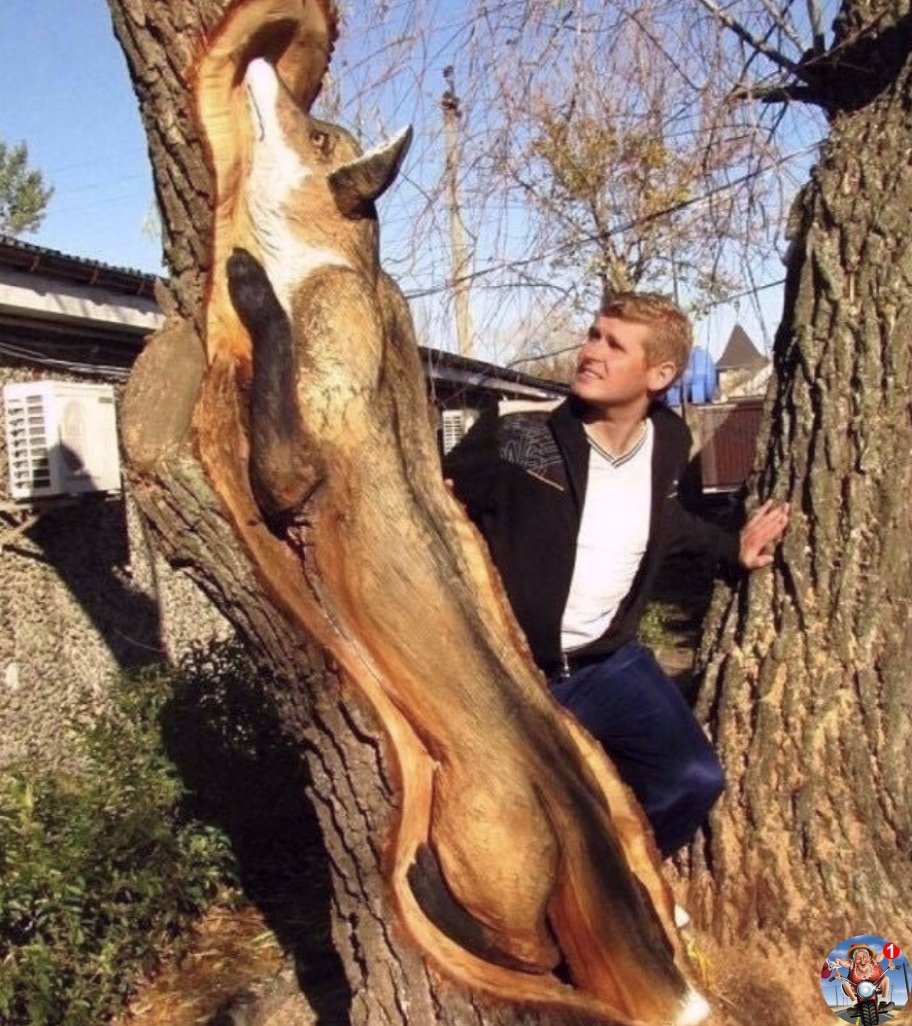 Лиса из дерева