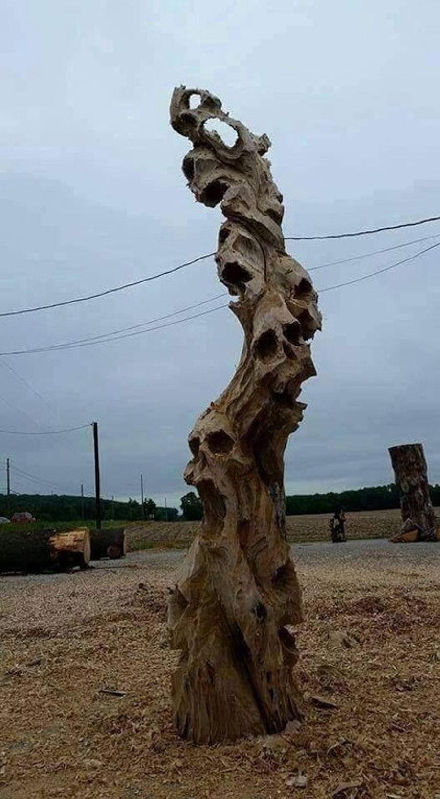 Череп дерево