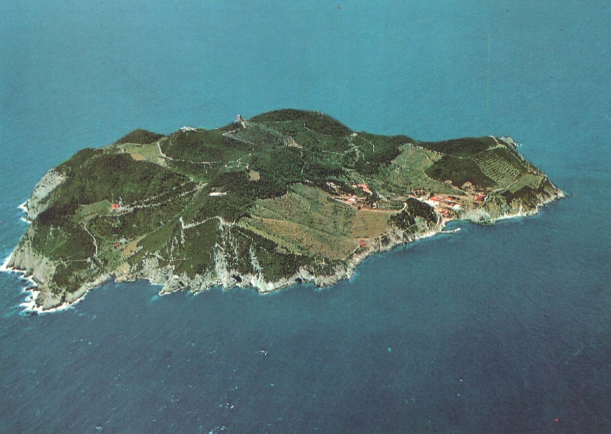 Горгона (остров, Италия)