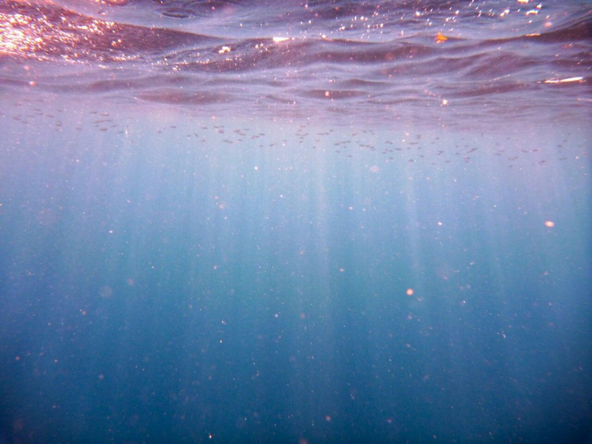 Море глубина Эстетика