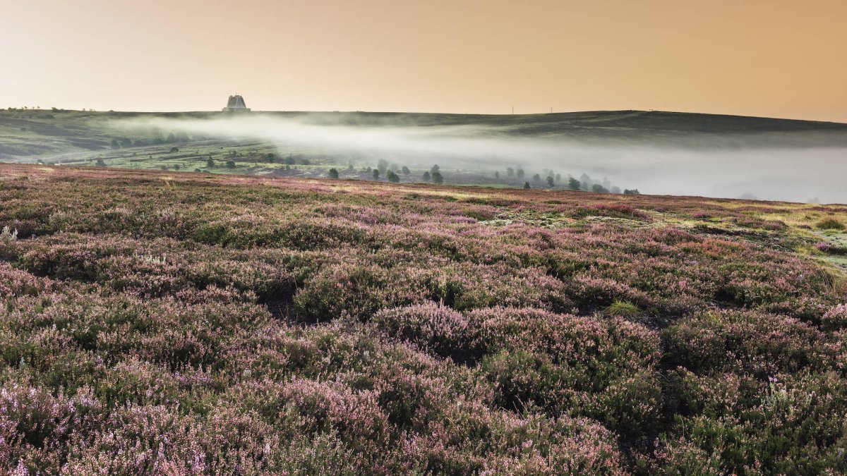 North York Moors National Park