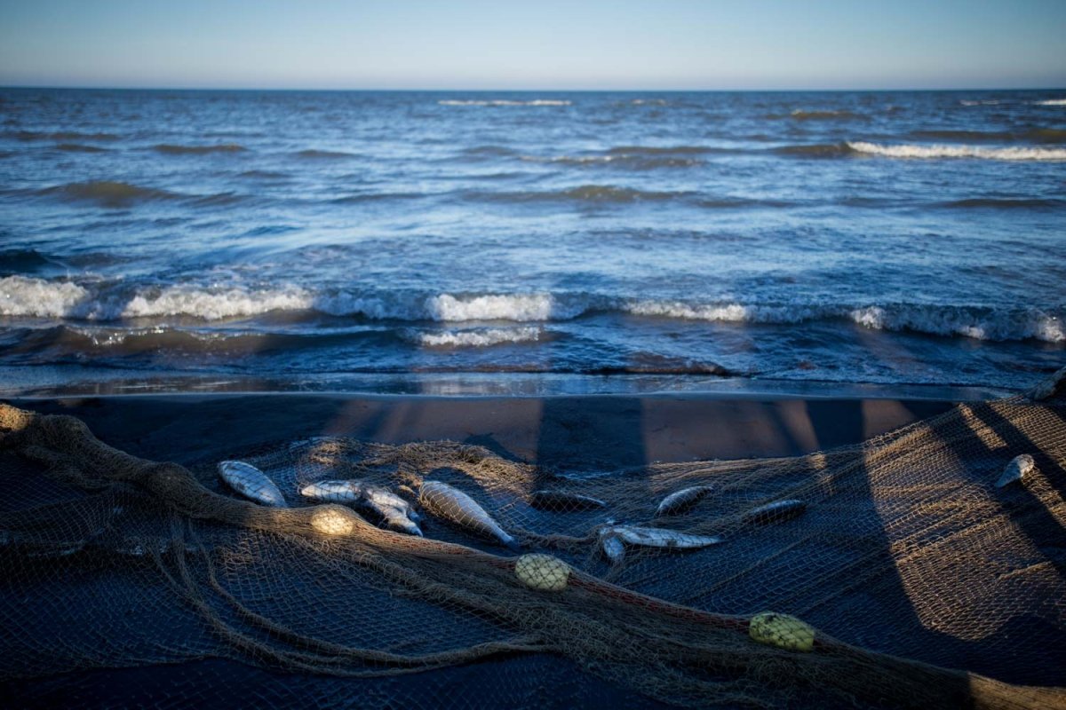 Каспийское море вид из под воды