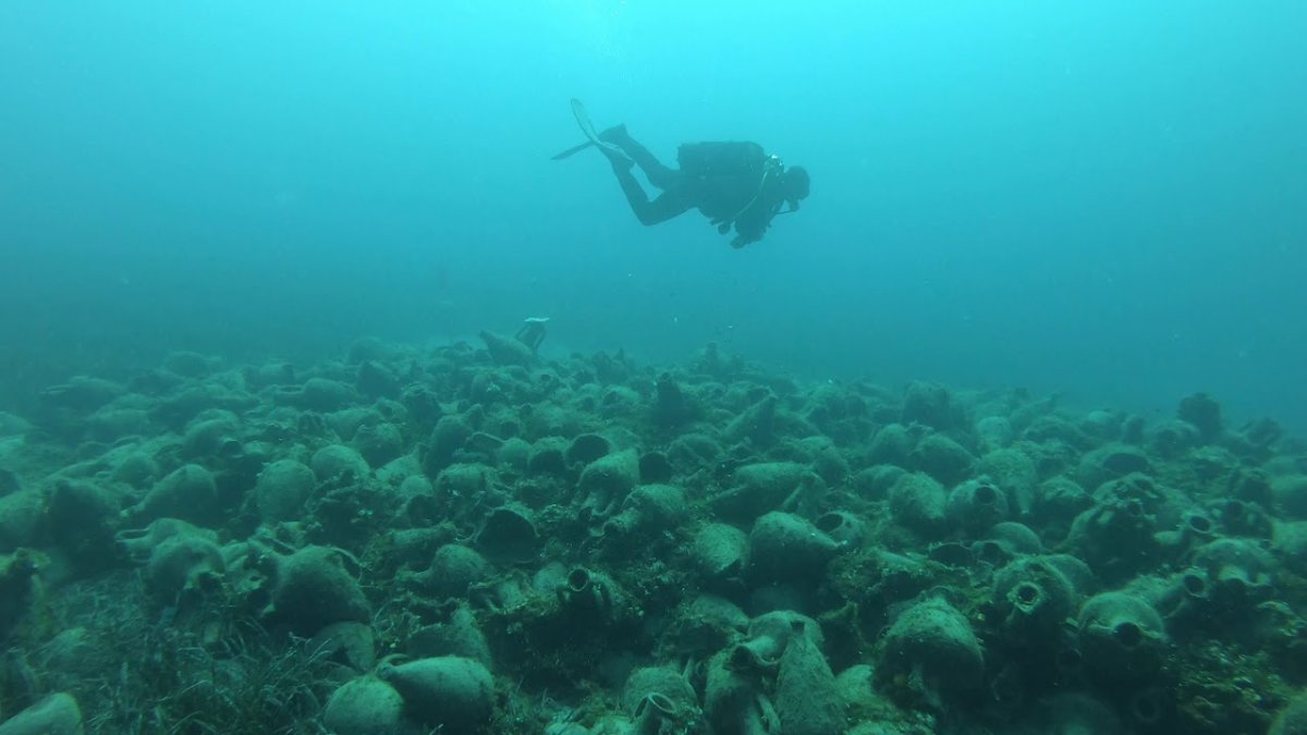 Подводный мир Эгейское море