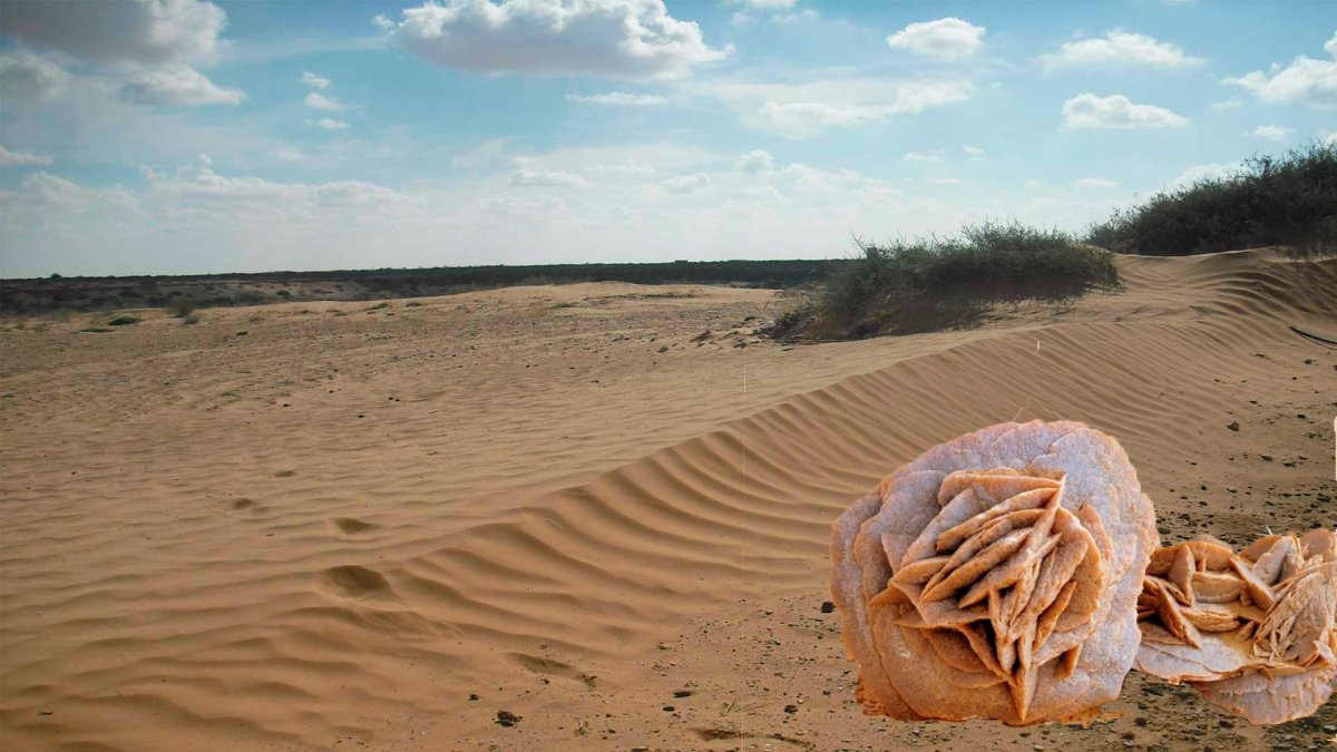 Пустыня Негев