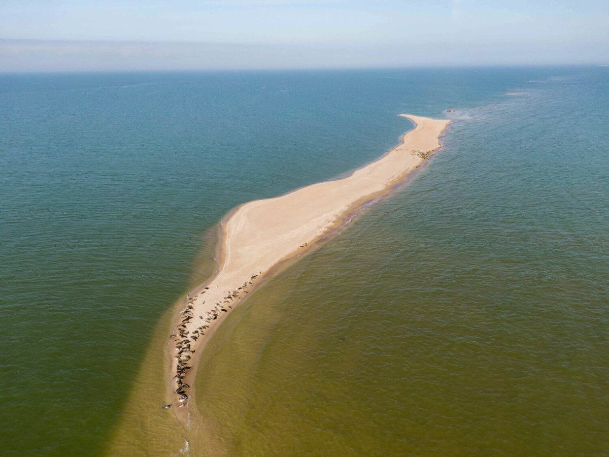 Остров жемчужный Каспийское море