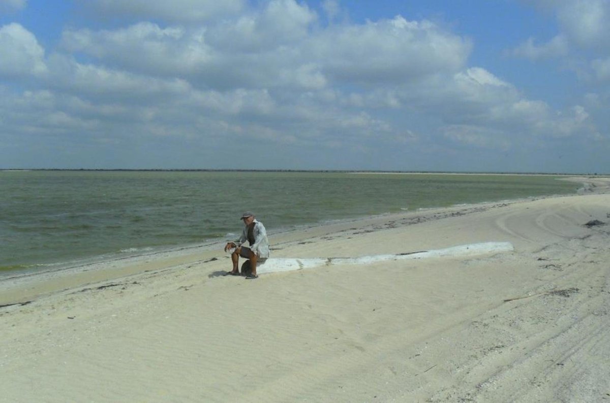 Морозовская коса Азовское море