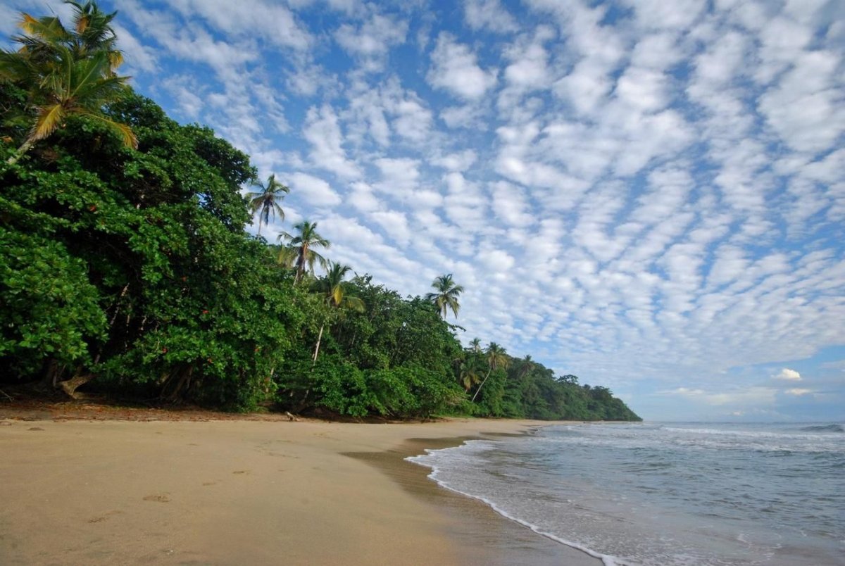Puerto Viejo Costa Rica