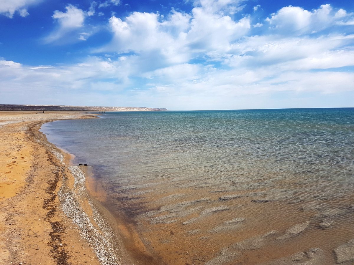 Аральское море Узбекистан