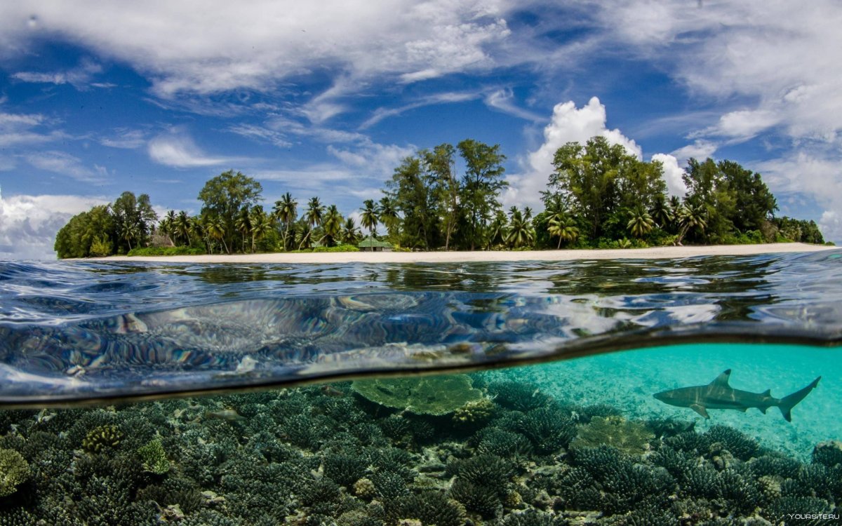 Прозрачное море