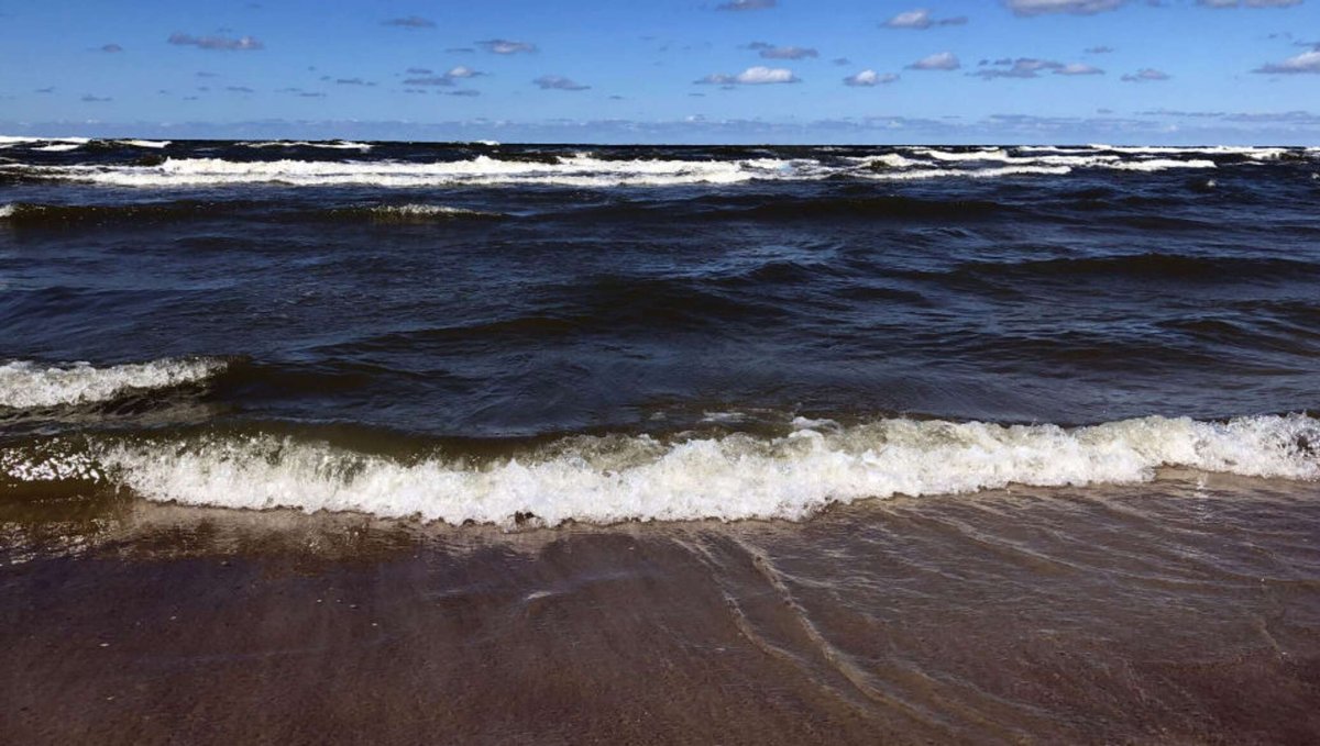 Северное море Балтика экология