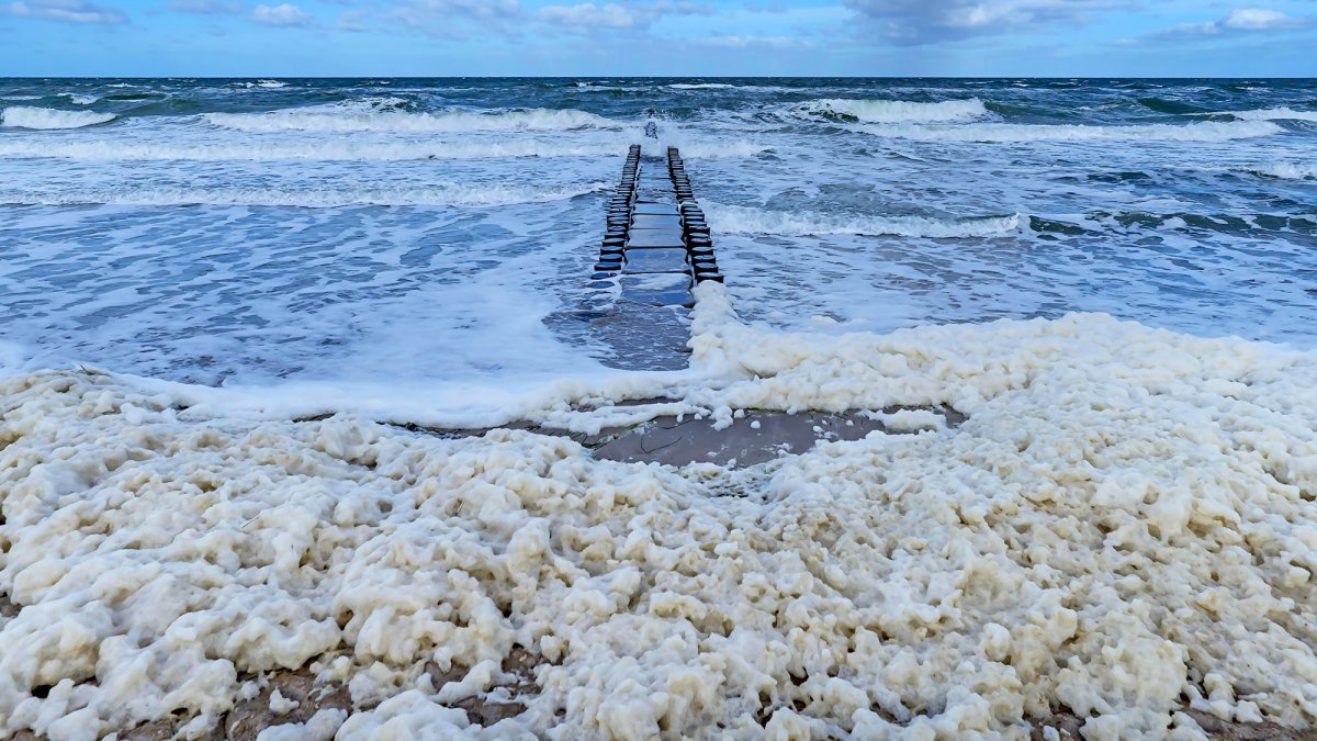 Соленая пена море