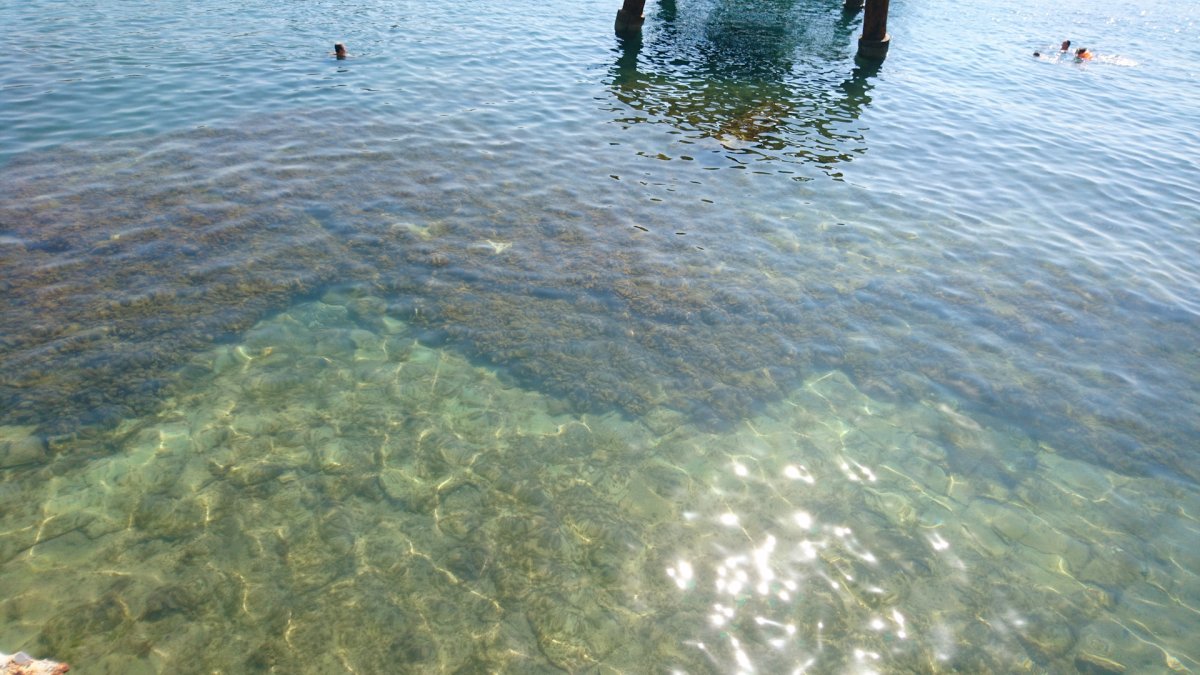 Дно Балтийского моря без воды фото