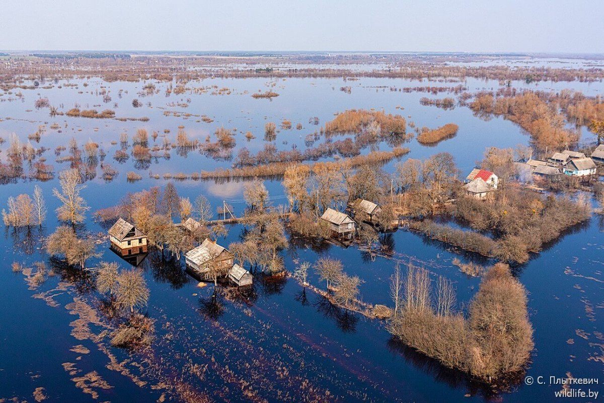 Исток реки Припять