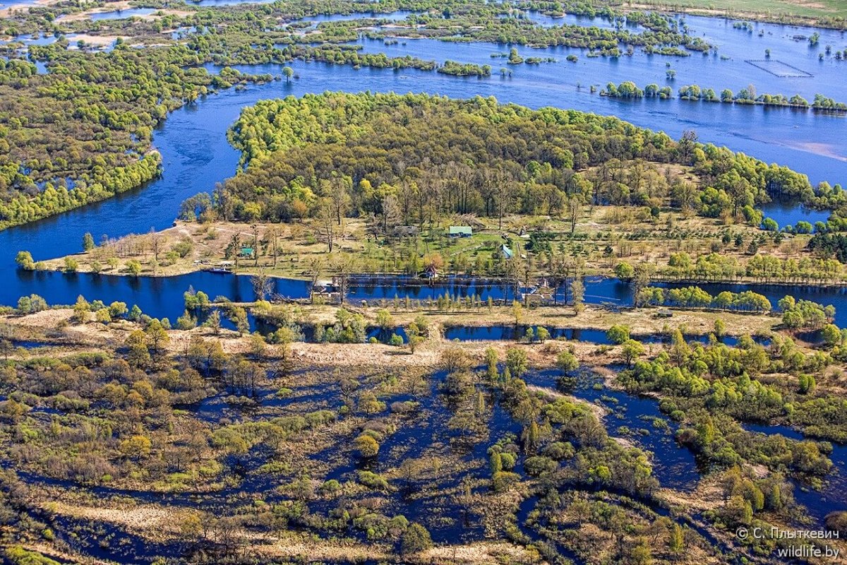 Река Припять в Беларуси