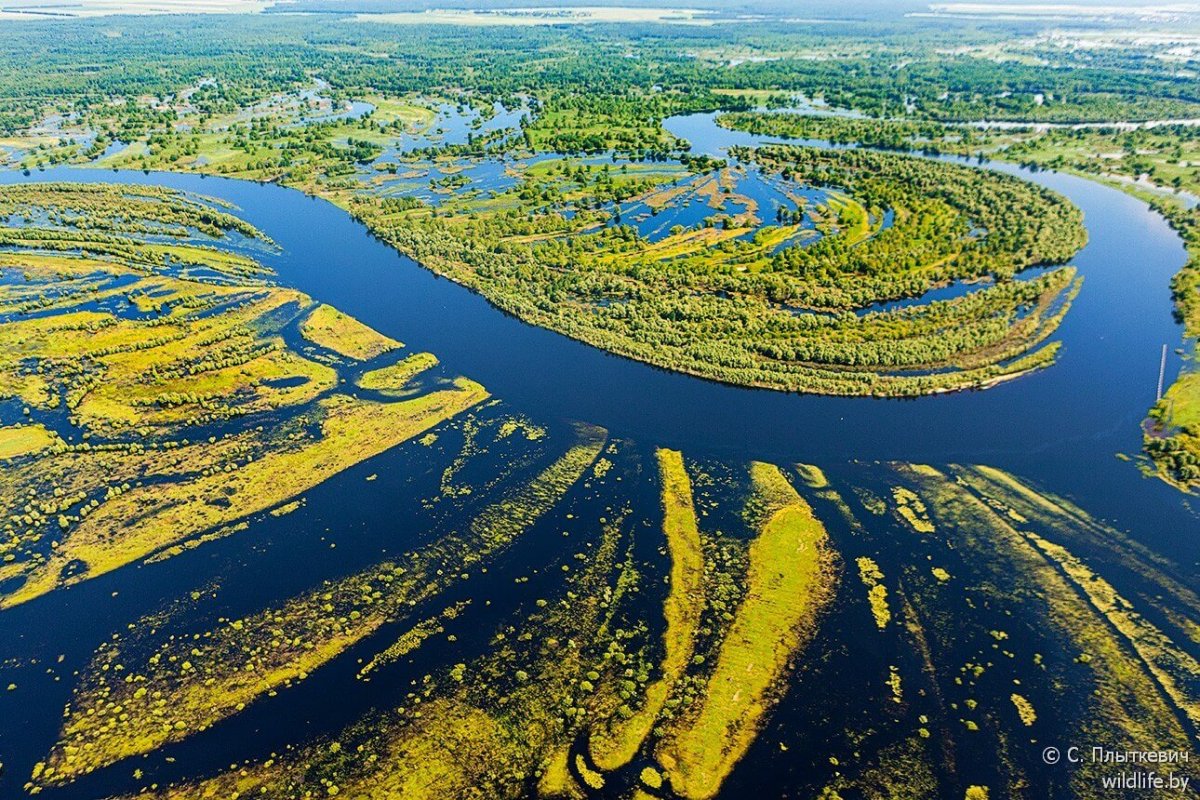 Река Припять