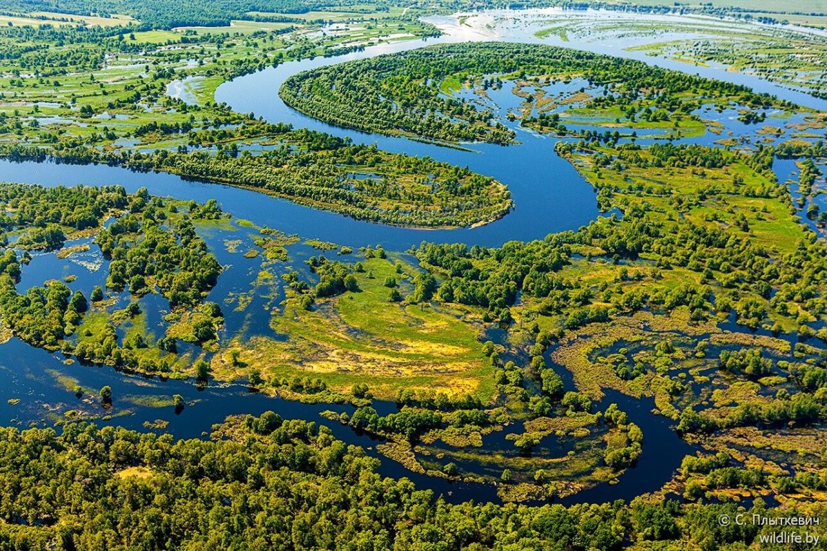 Река Припять в Беларуси