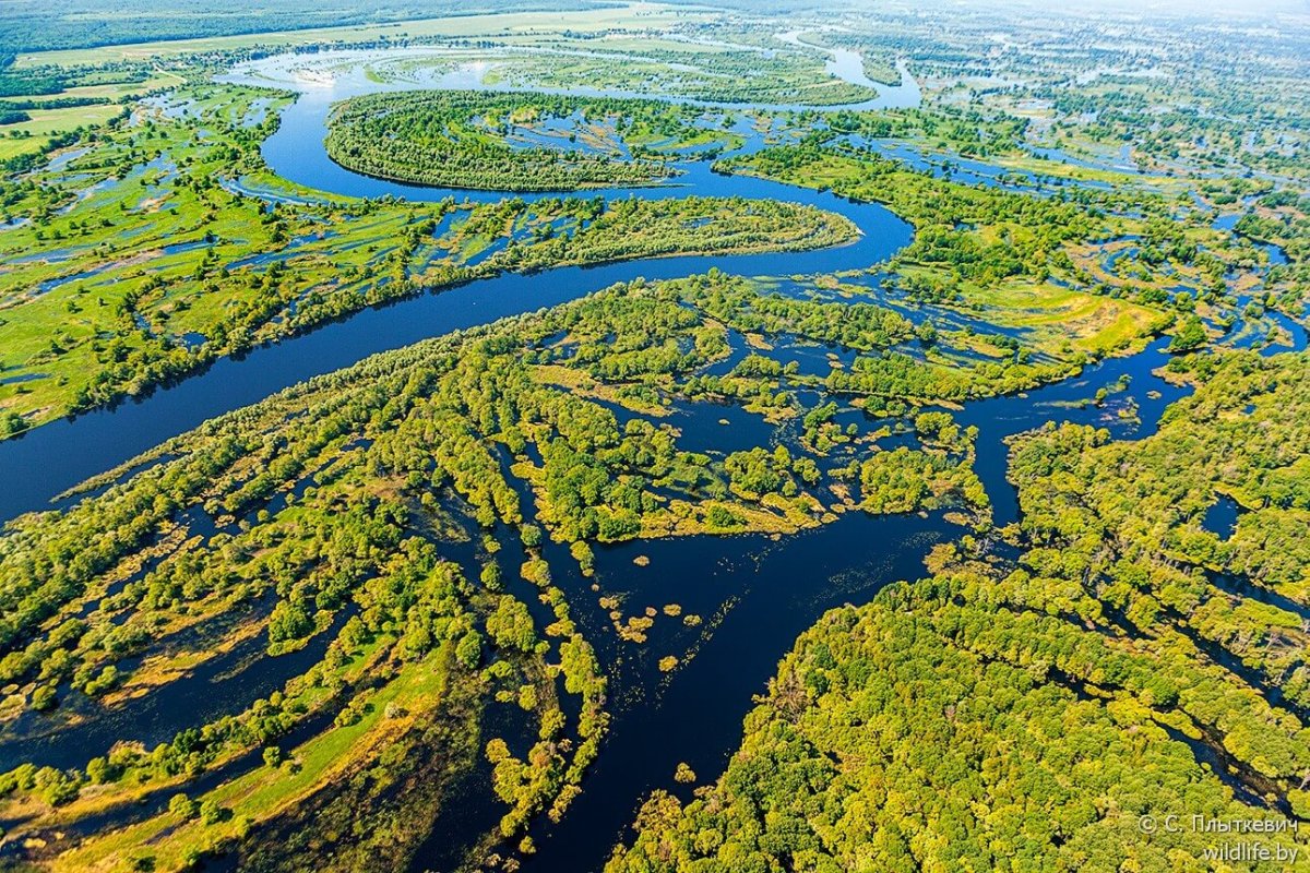 Река Припять