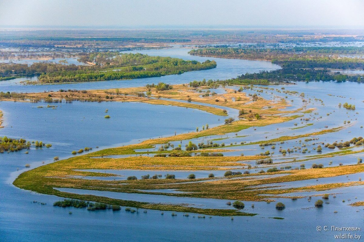 Река Припять в Беларуси