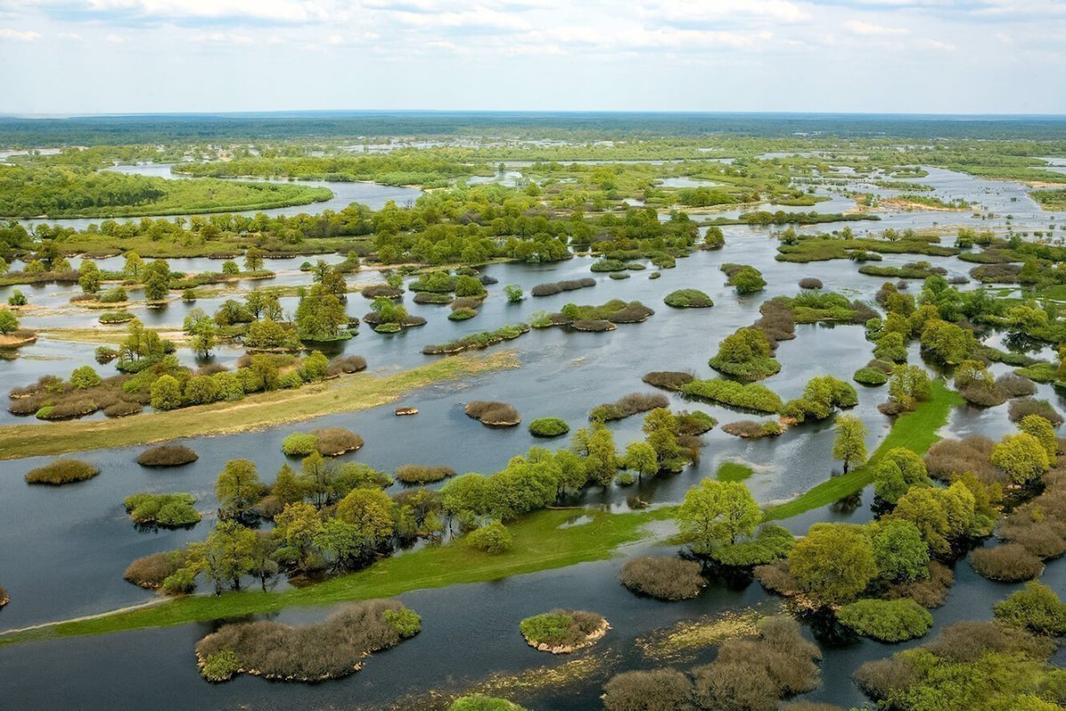 Река Припять в Беларуси