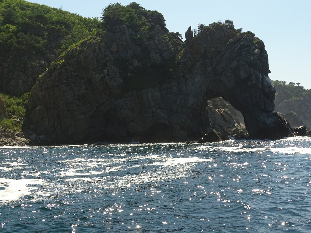 Хасанский призрак