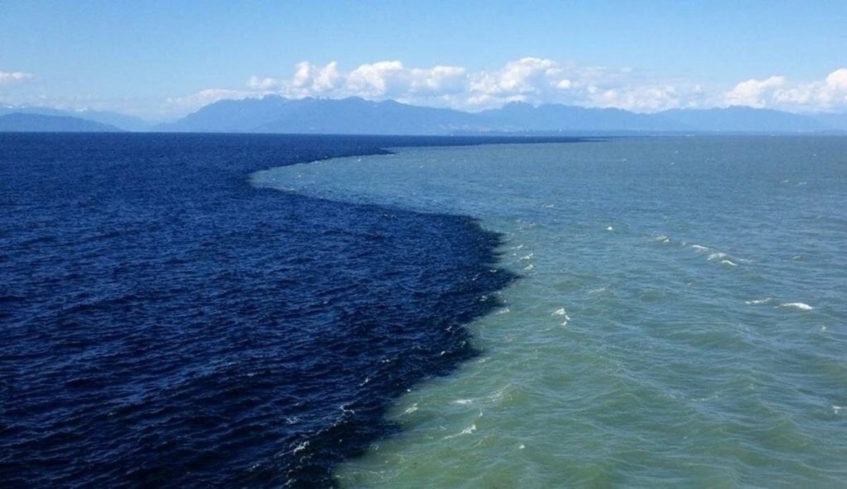 Скаген Дания два моря