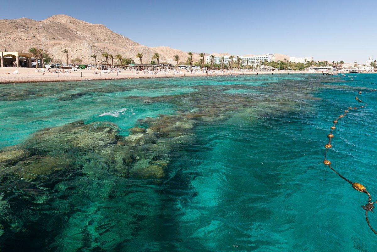 Красное море Израиль Эйлат