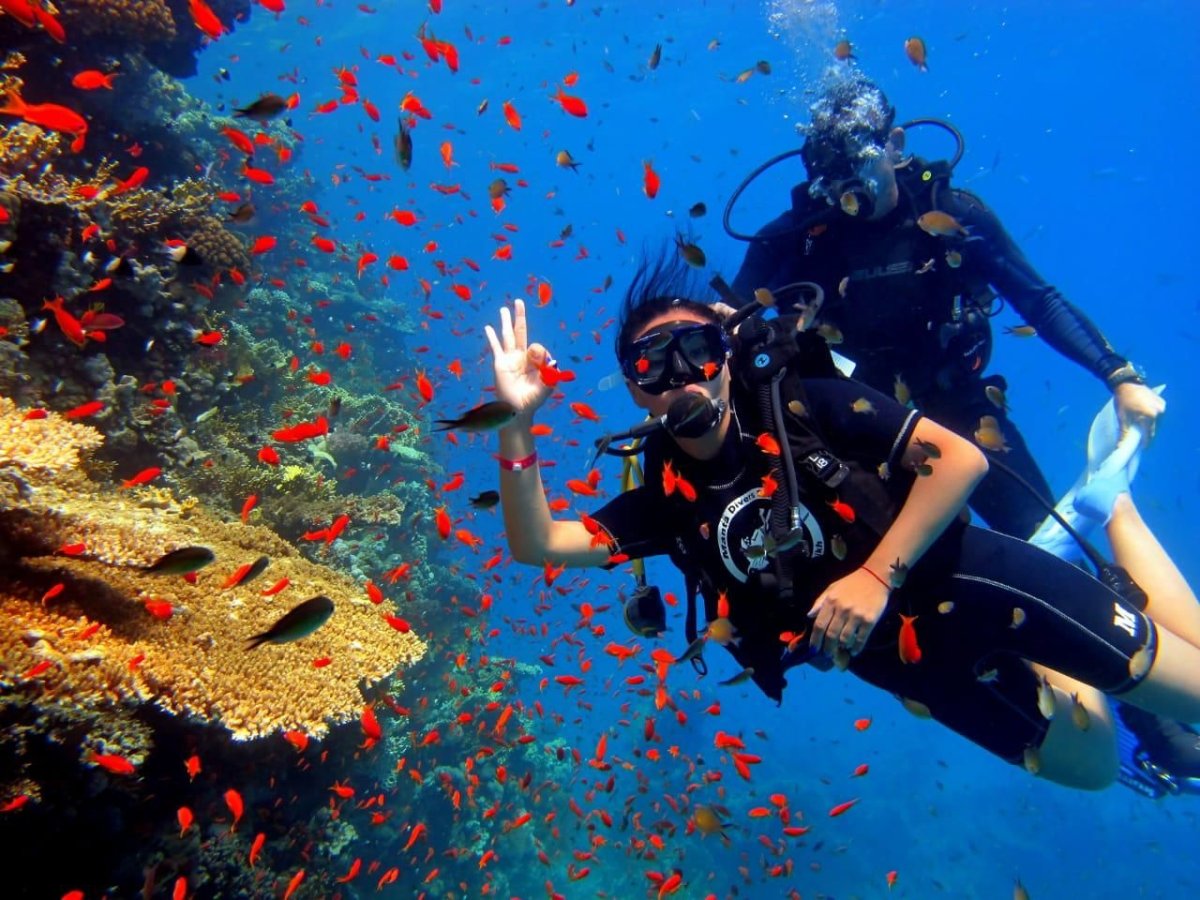 Шарм-Эль-Шейх Diving