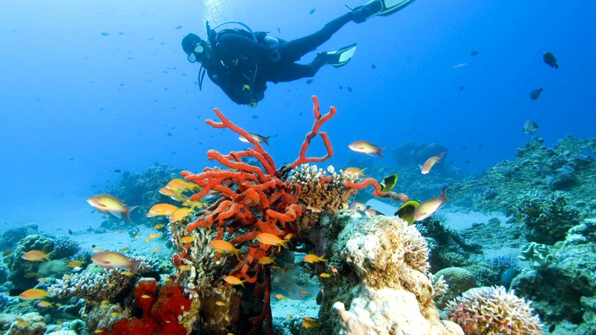 Красное море Акаба