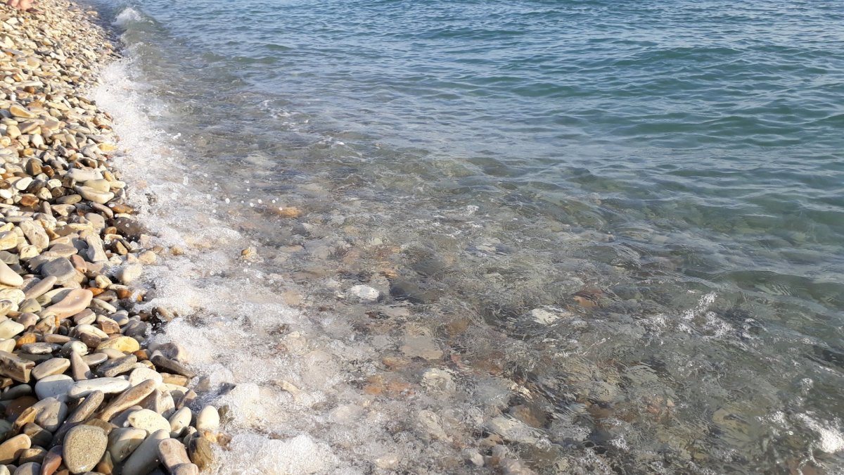 Галечный берег Азовского моря
