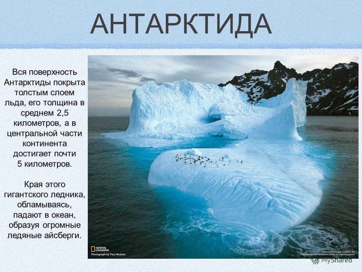 Антарктида проект