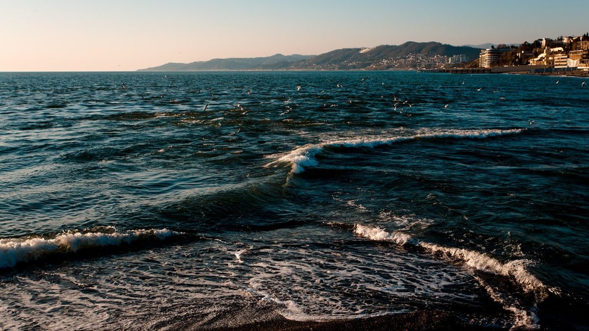 Сочи вид на море
