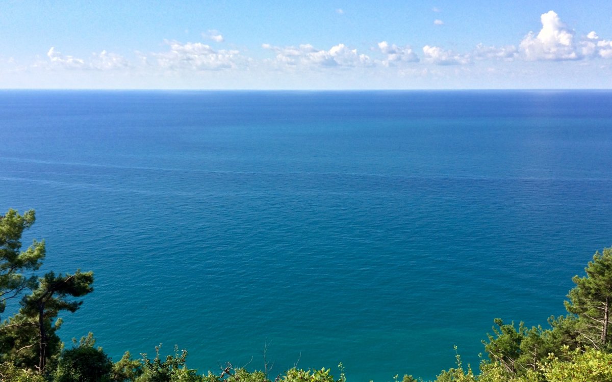 Сочи море