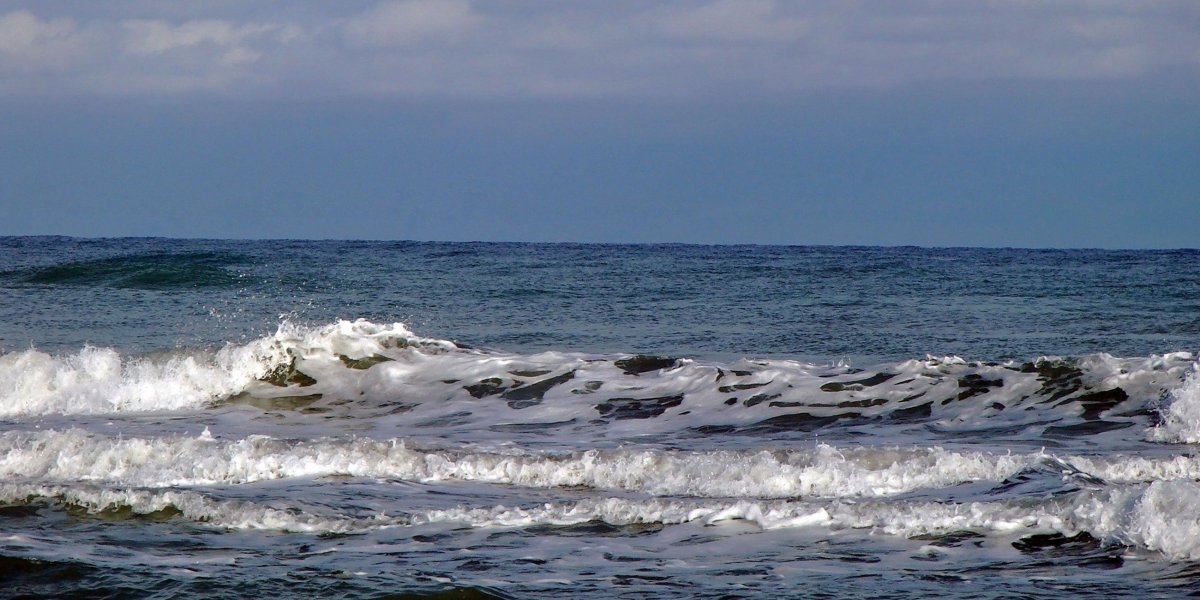 Берег Каспийского моря Калмыкия