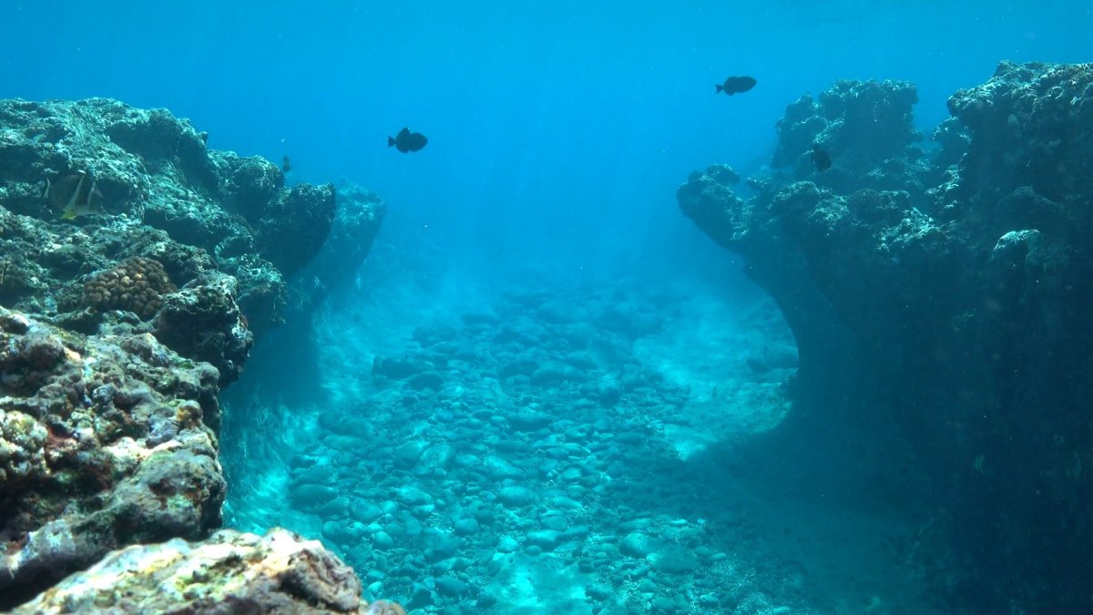 Дно Средиземного моря