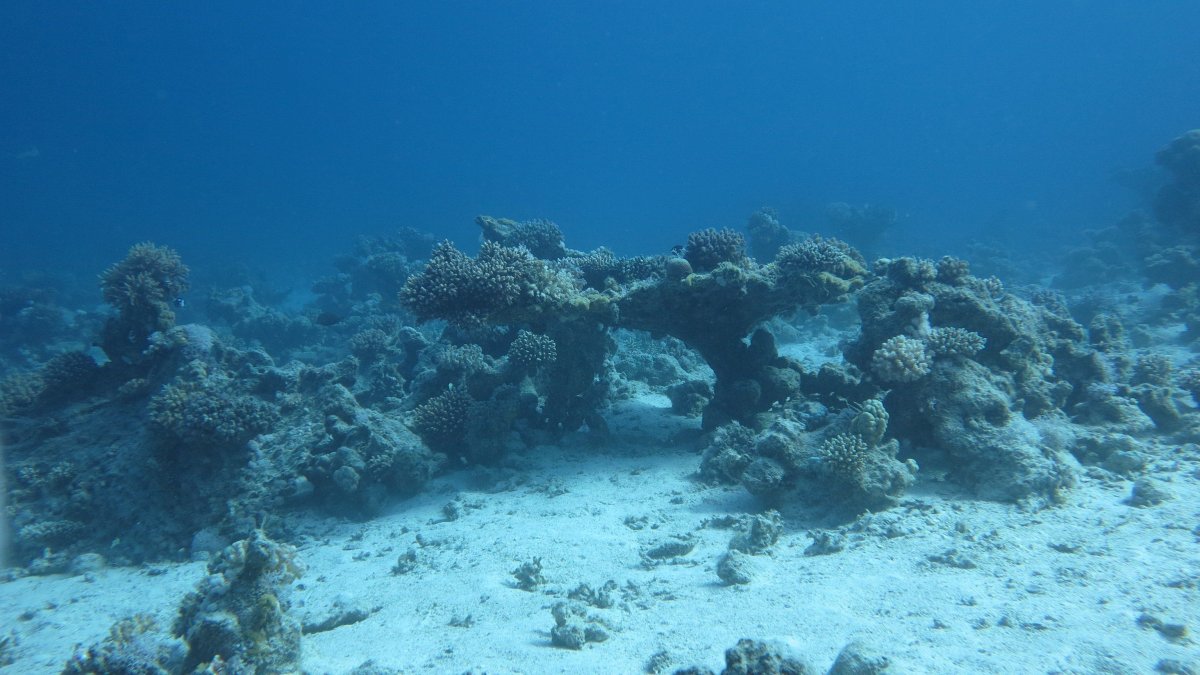 Морское дно
