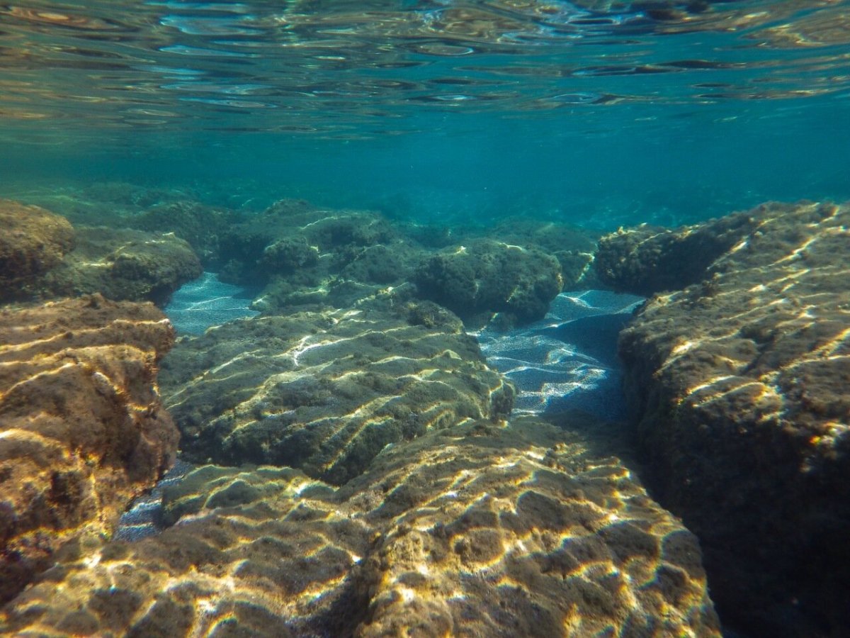 Средиземное море под водой