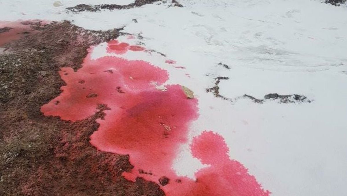 Красная вода в Казахстане
