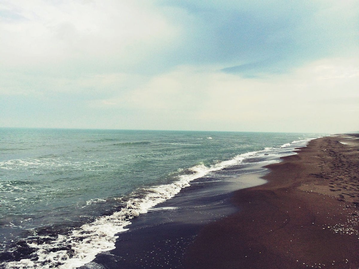 Черный пляж Самурский лес Каспийское море