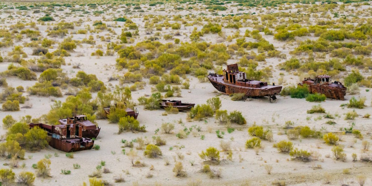 Озеленение Аральского моря