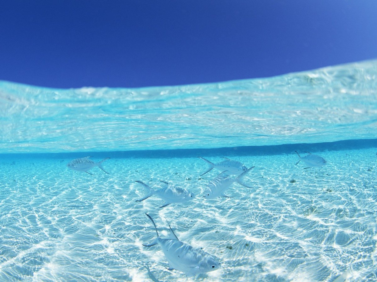 Прозрачное море