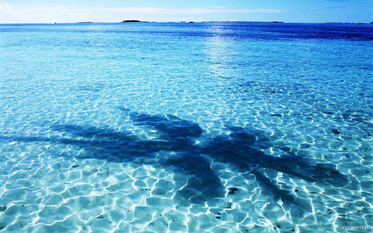 Море вода