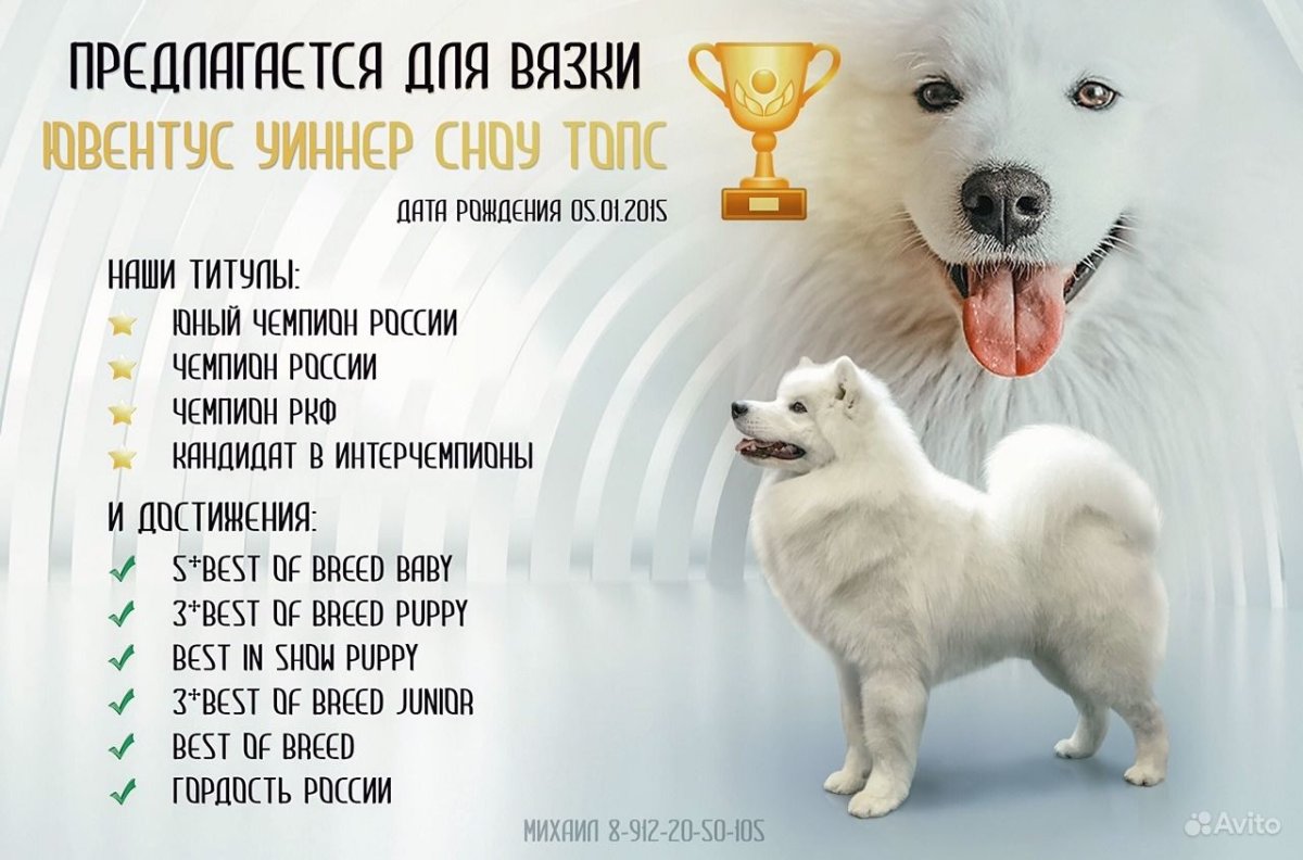 Корм для самоеда