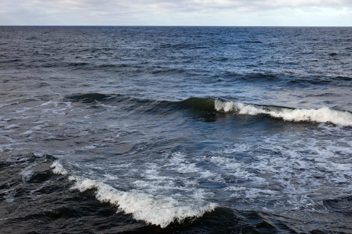 Фото знаменитого Светлогорского променад вдоль Балтийского моря