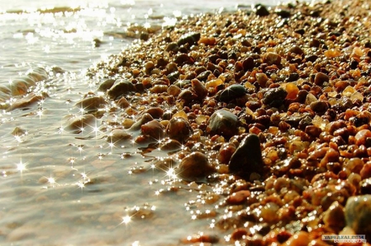 Балтийское море янтарь
