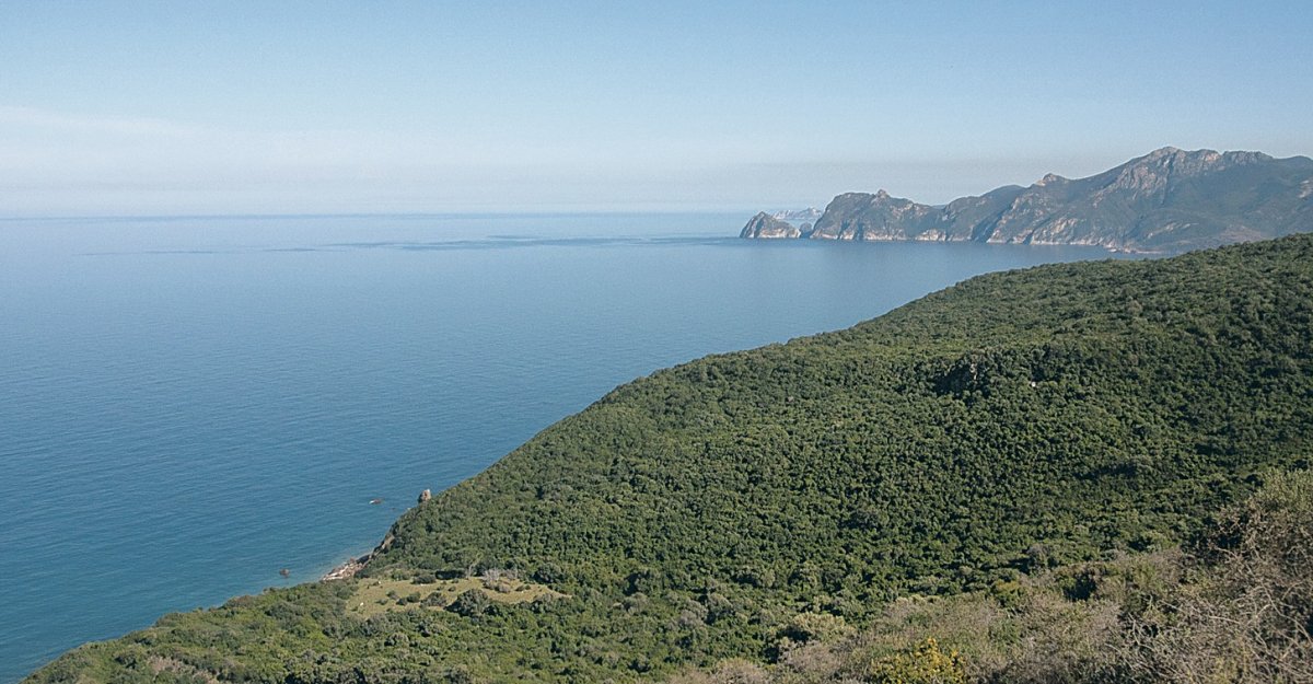 Алжир побережье Средиземного моря