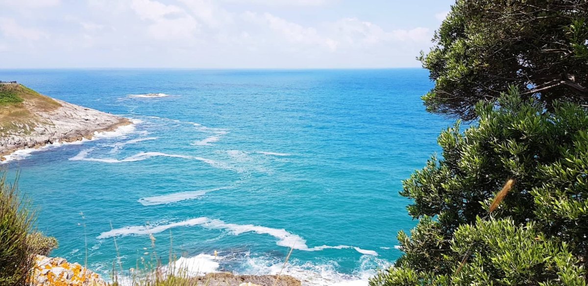 Black Sea в Турции